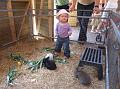 Sofia i  FarmFun 113